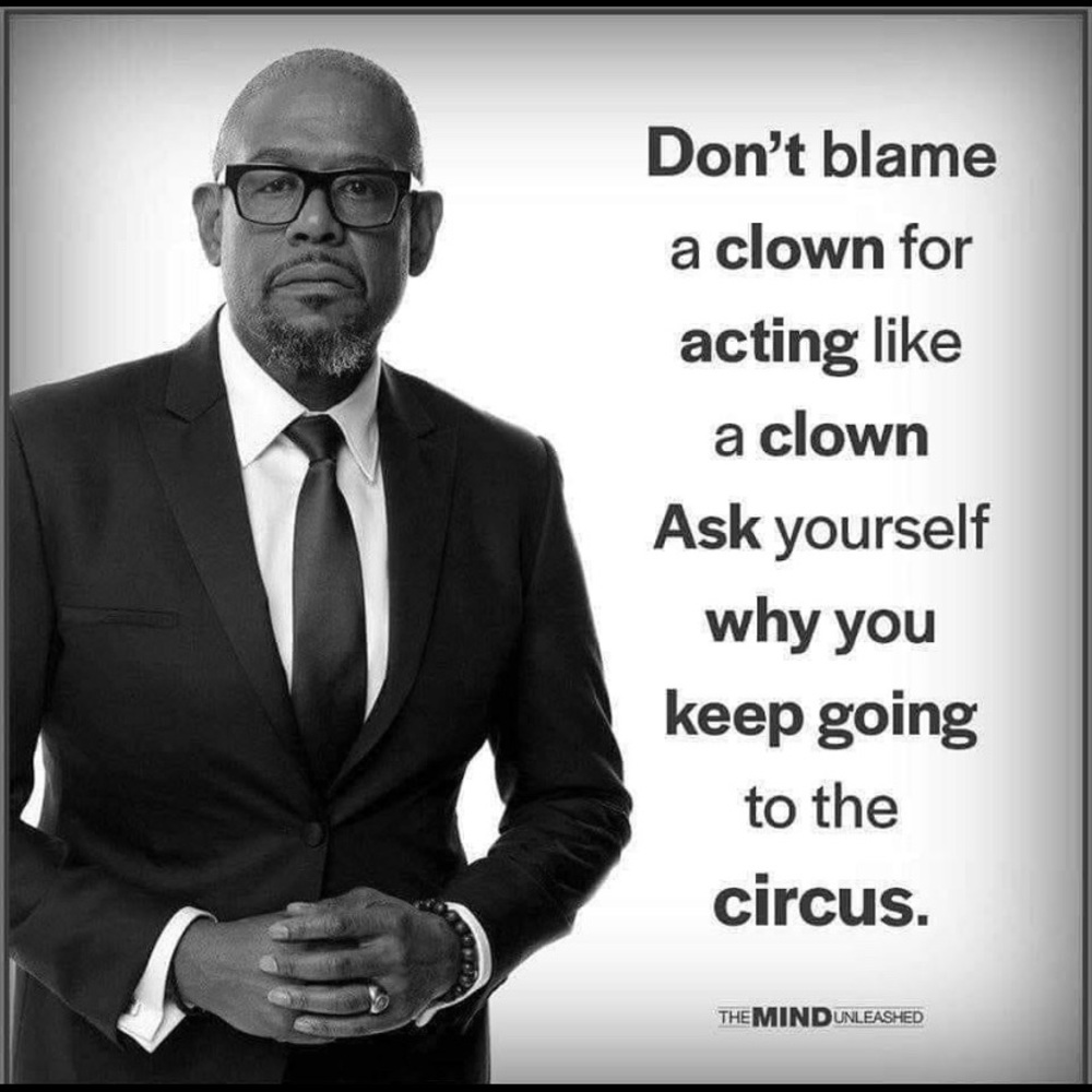 Meet your Posher, Julius